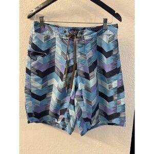 Patagonia Board Shorts Swim Trunks Men Sz 30 Chevron Print Purple Blue Beachy